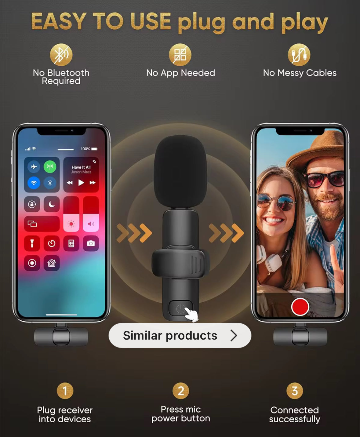 Portable Wireless Microphone