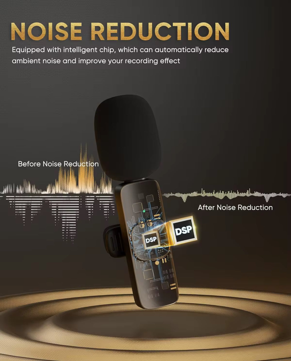 Portable Wireless Microphone