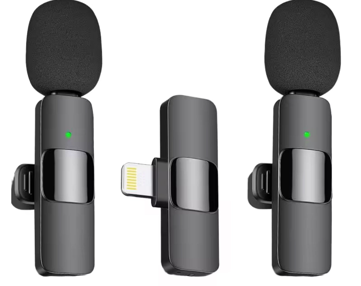 Portable Wireless Microphone