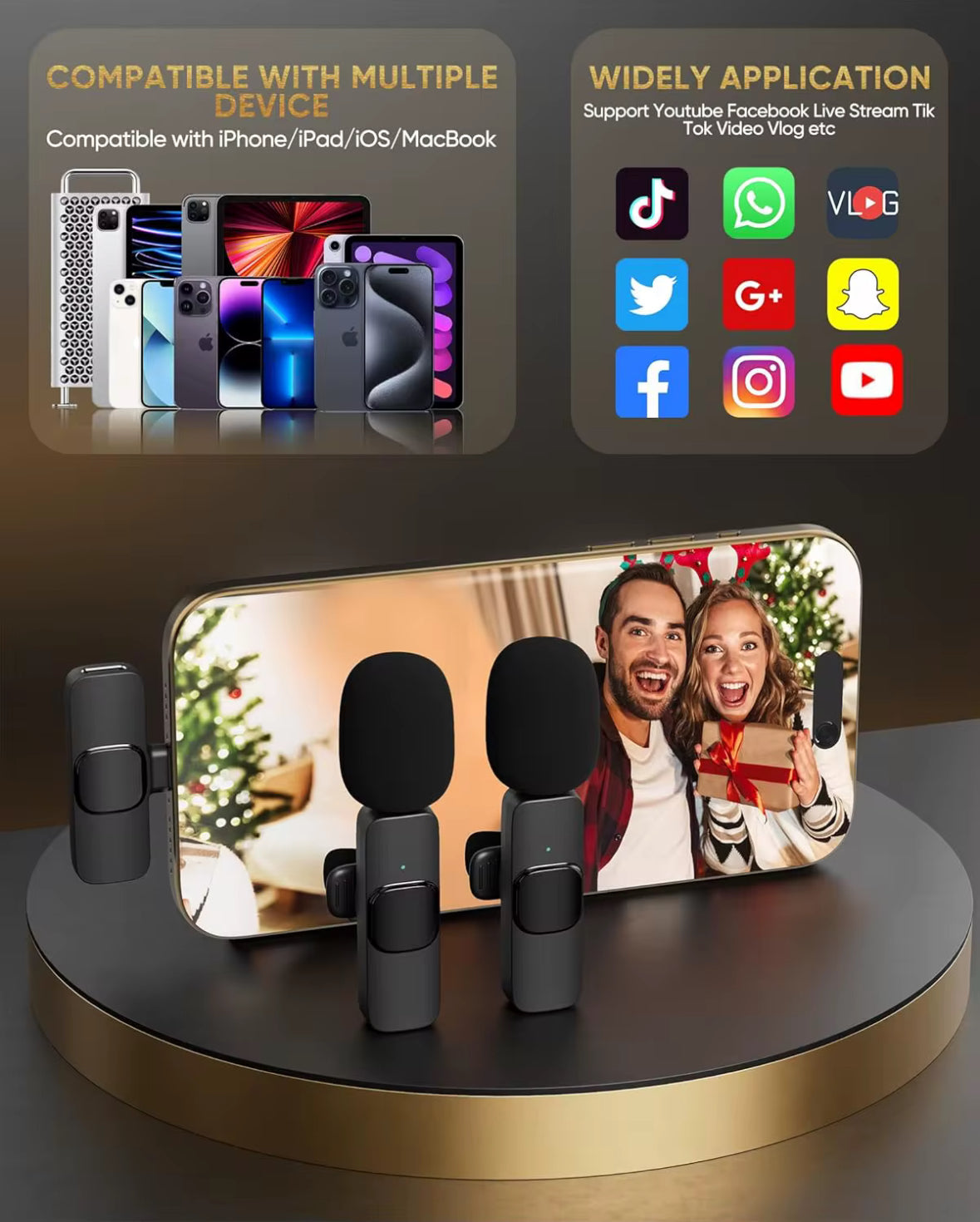 Portable Wireless Microphone